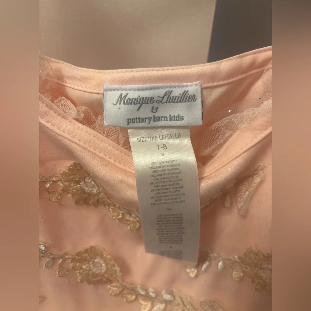 Monique Lhuillier Pottery Barn Kids Blush Fairy Costume Size 8